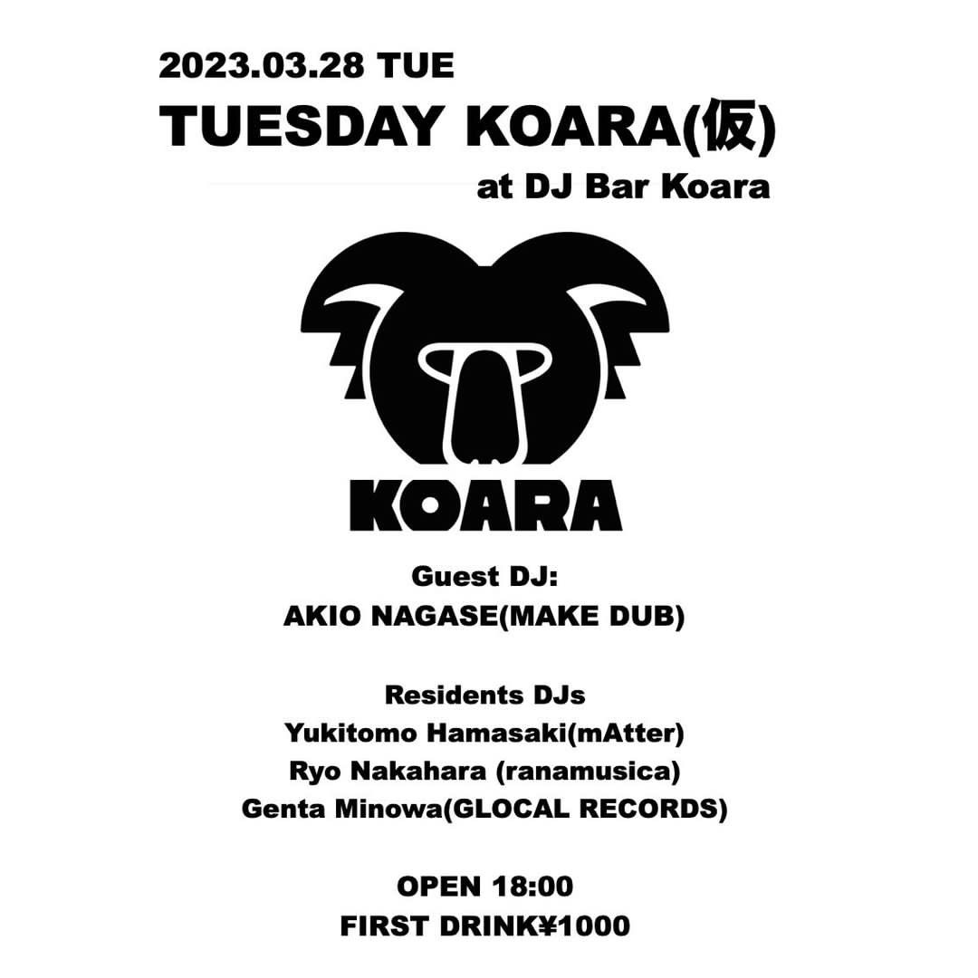 TUESDAY KOARA(仮) 