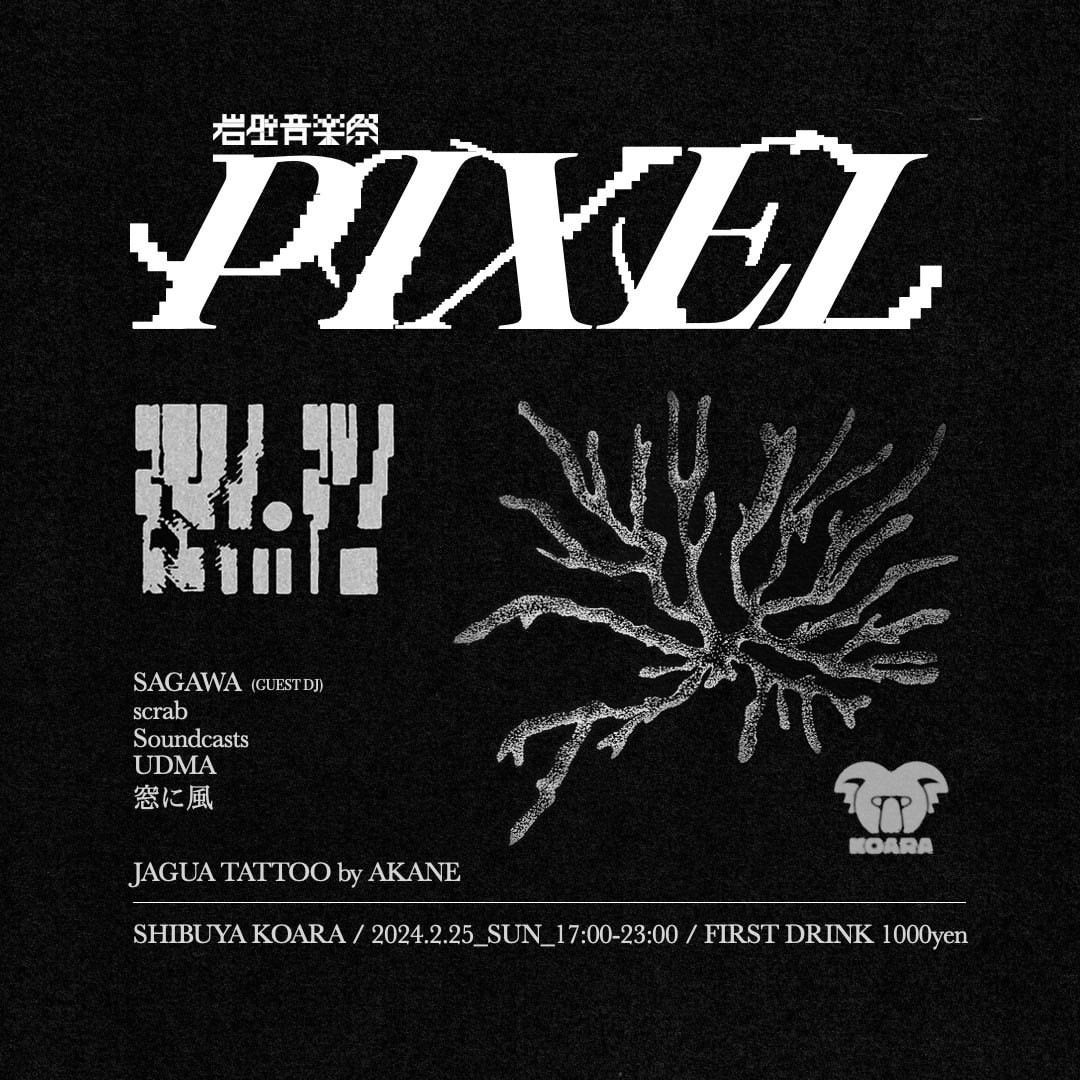 PIXEL