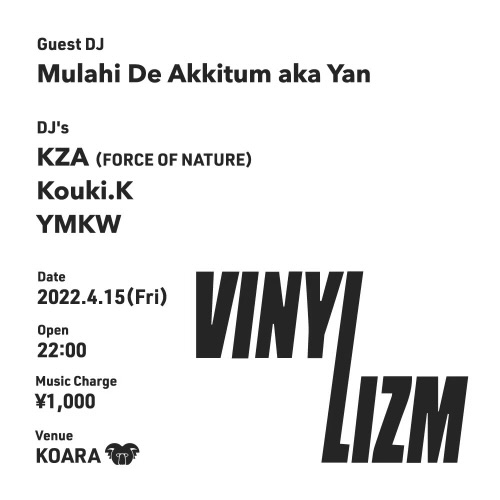 VINYLIZM