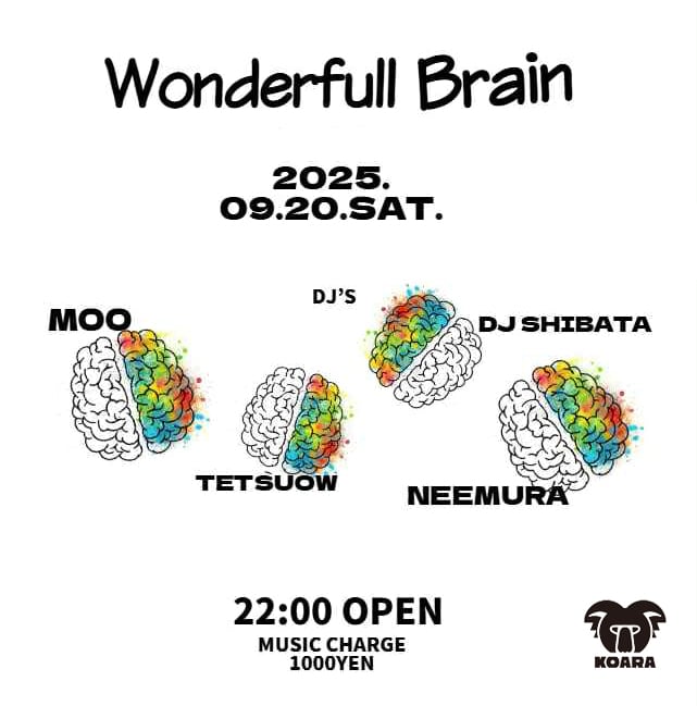 Wonderful Brain 